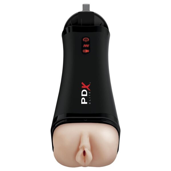 Masturbator Vagina Taschenmuschi Pussy USB sprechend/stöhnend