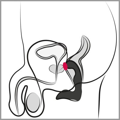 Prostata Stimulator P-Spot Massager Rebel Prostate  recharge