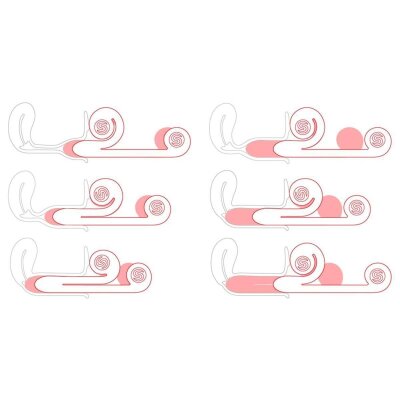 Doppel Vibrator für Frauen Snail Vibe Lila